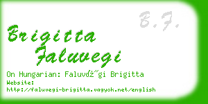 brigitta faluvegi business card